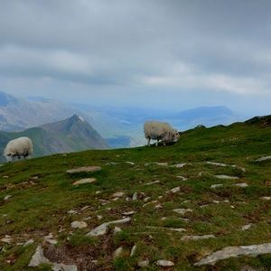 Meet your Posher, Slawomir